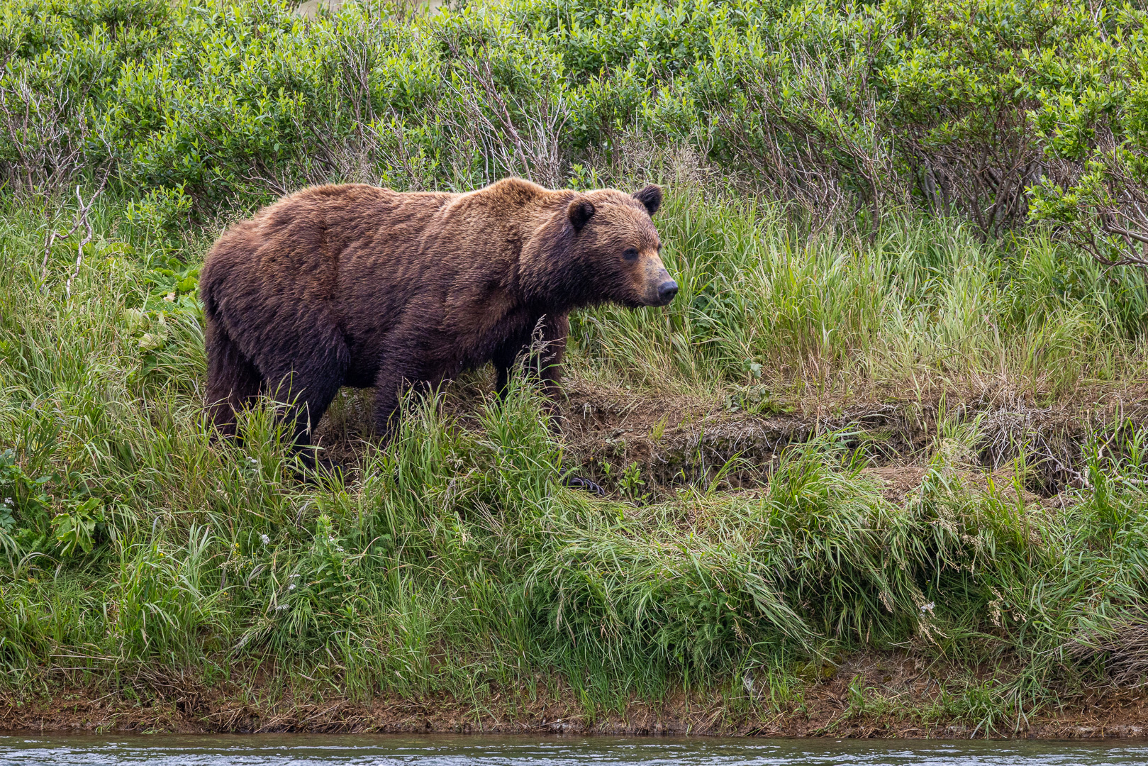 alaska2025