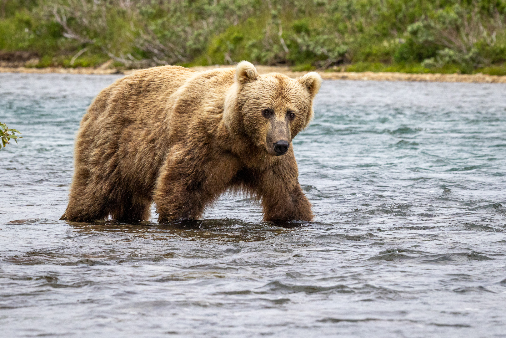alaska2025
