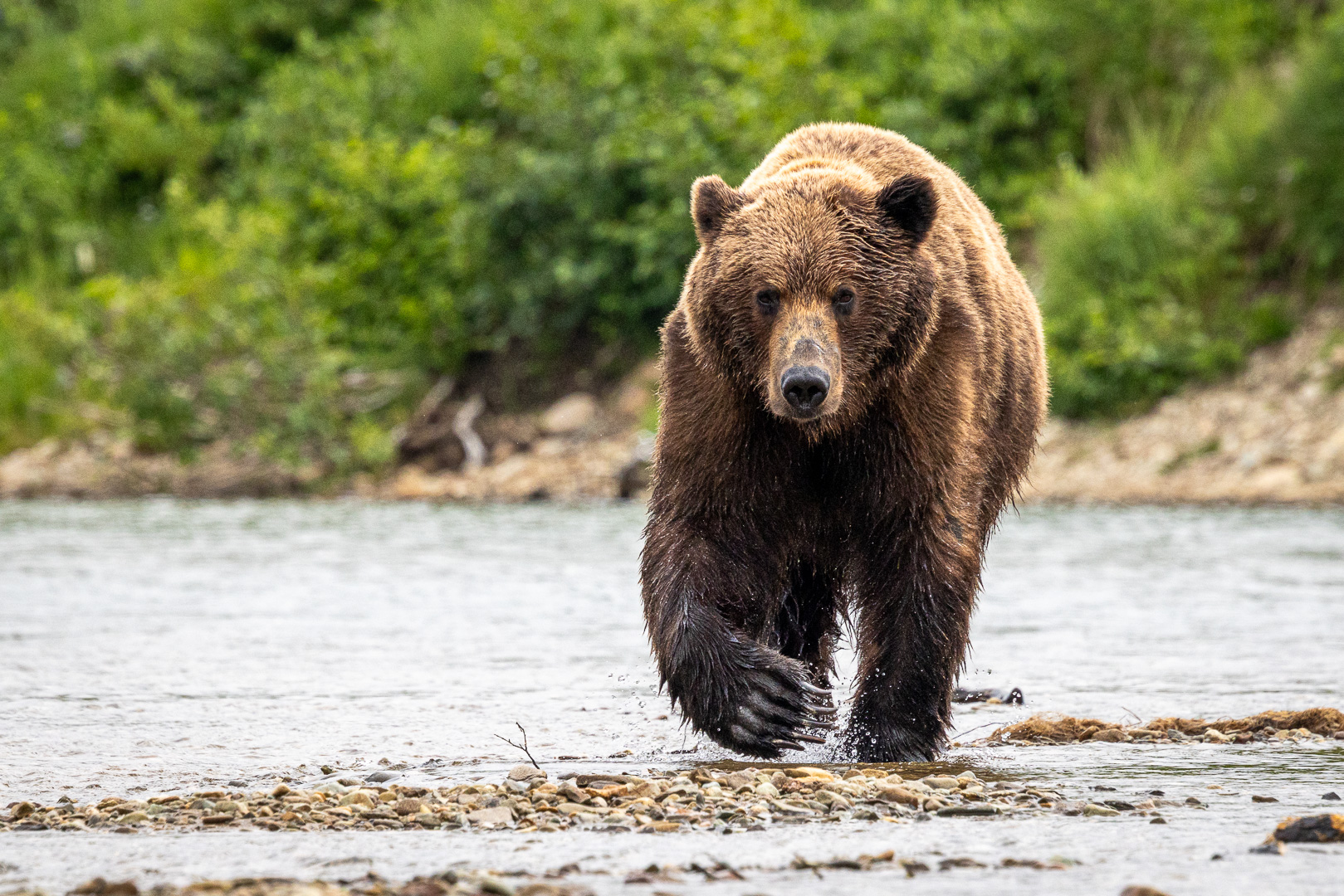 alaska2025