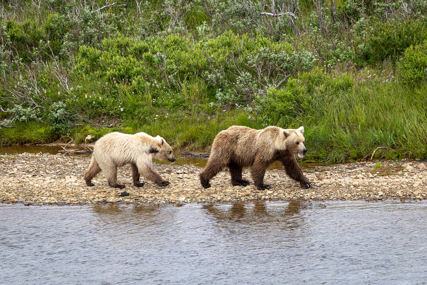 alaska2025