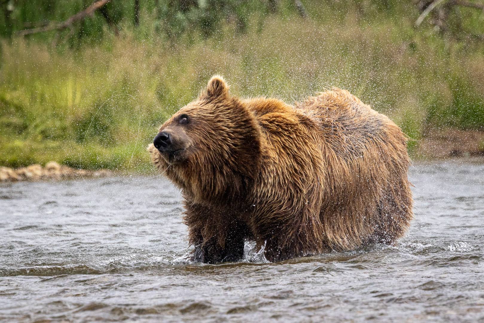 alaska2025