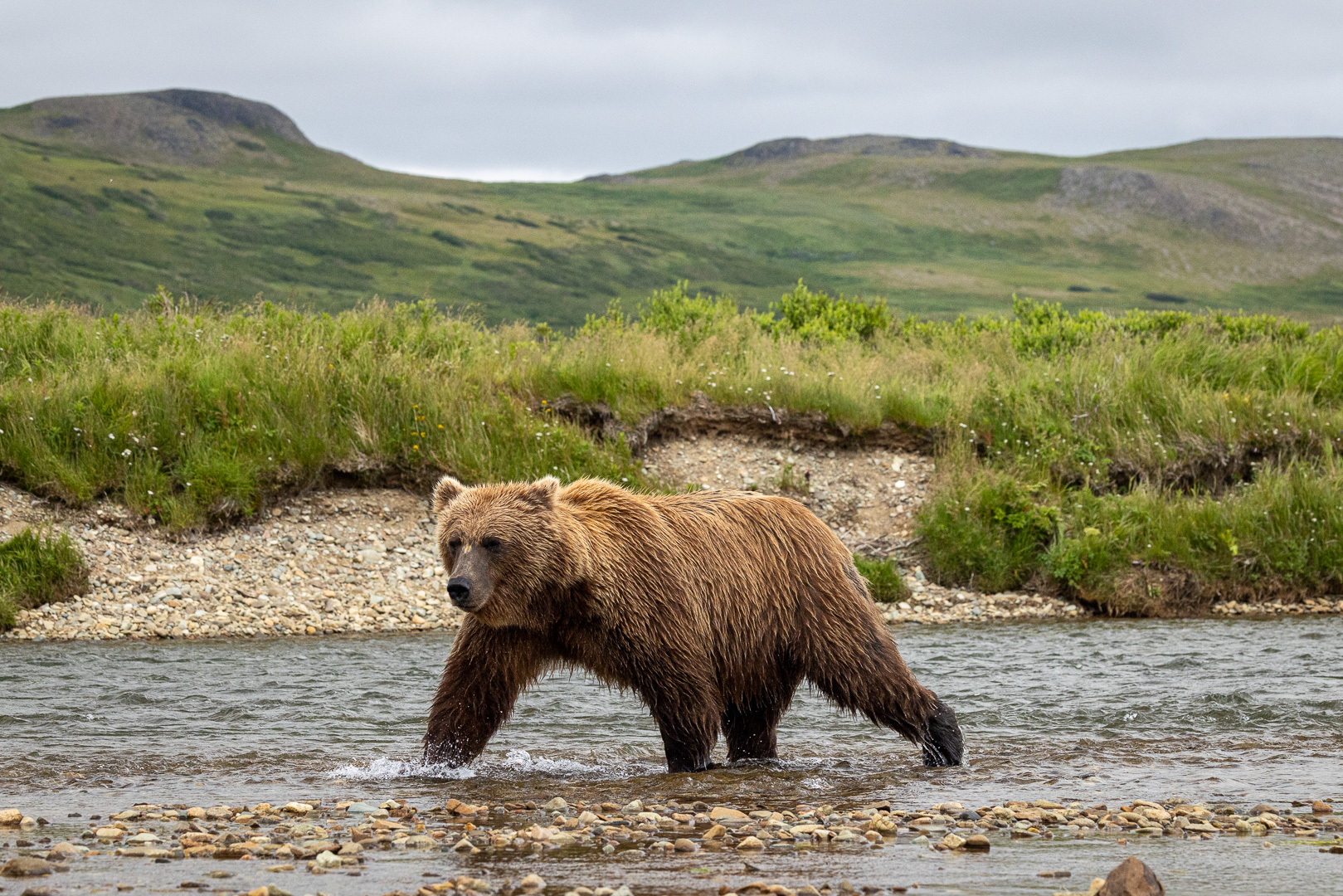 alaska2025