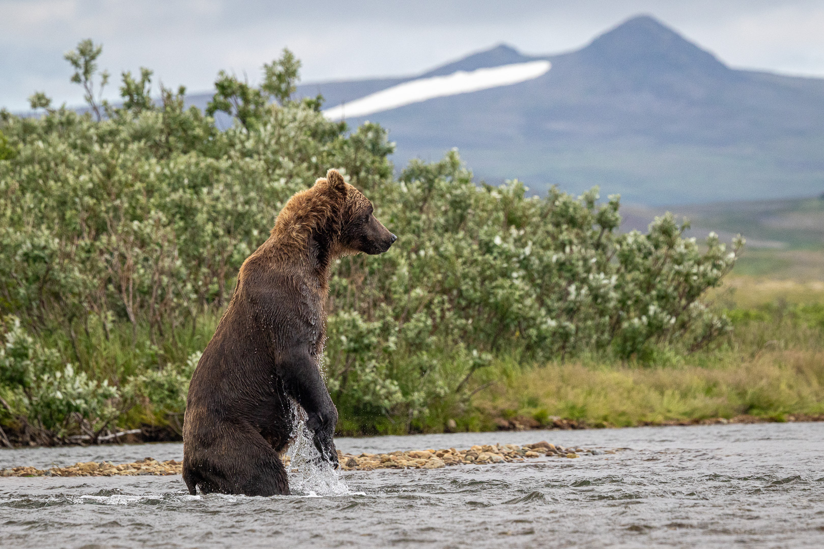alaska2025