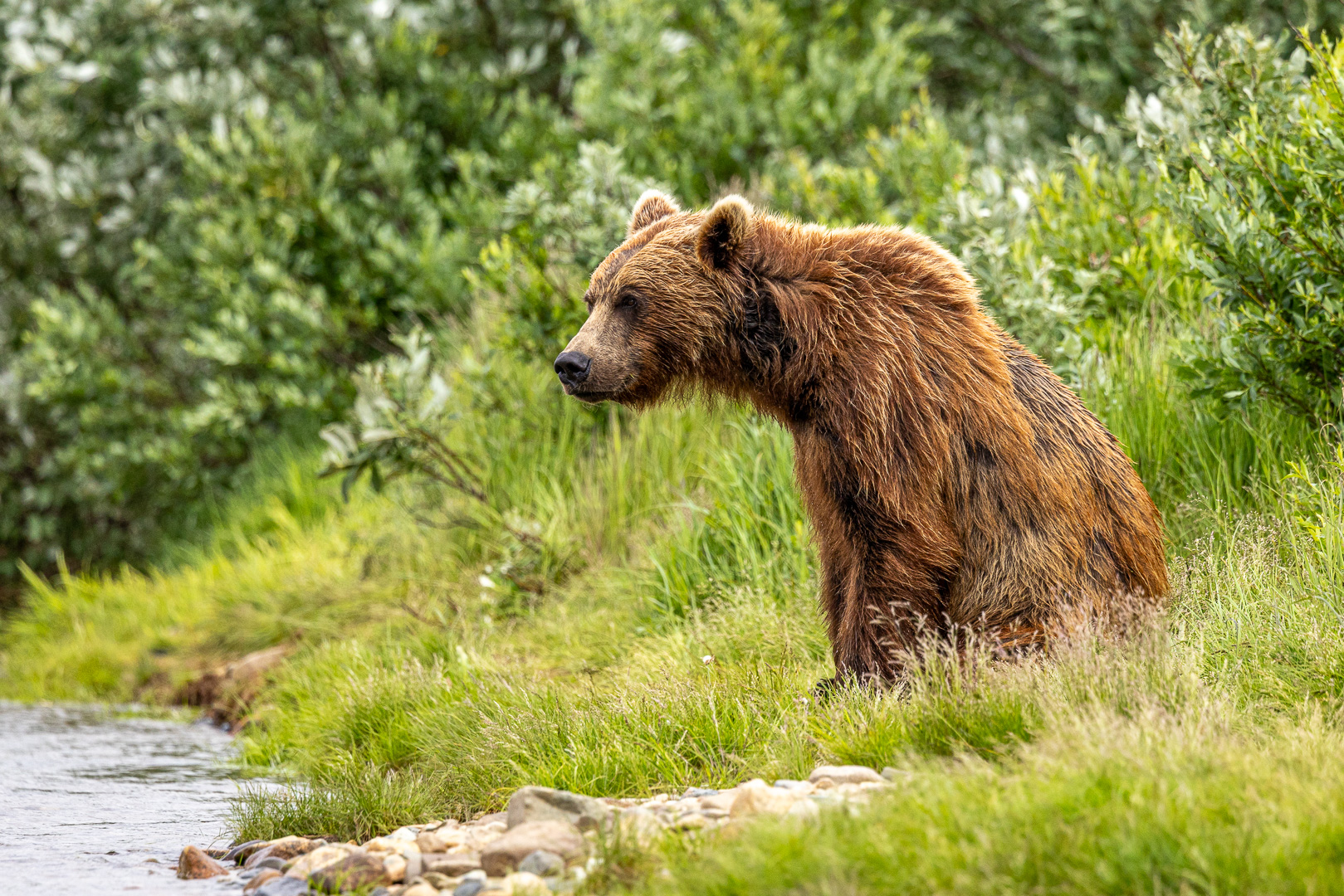 alaska2025