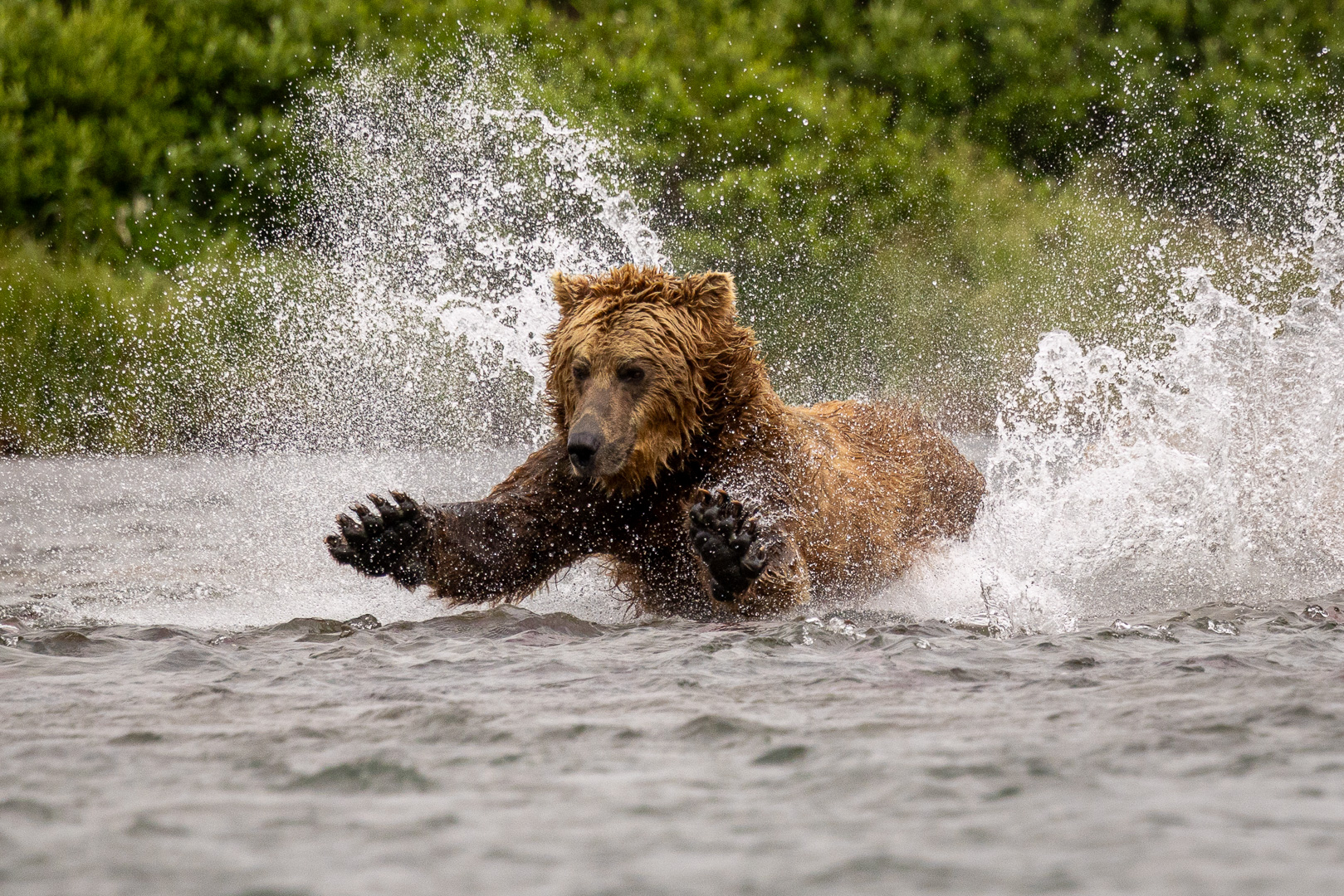 alaska2025