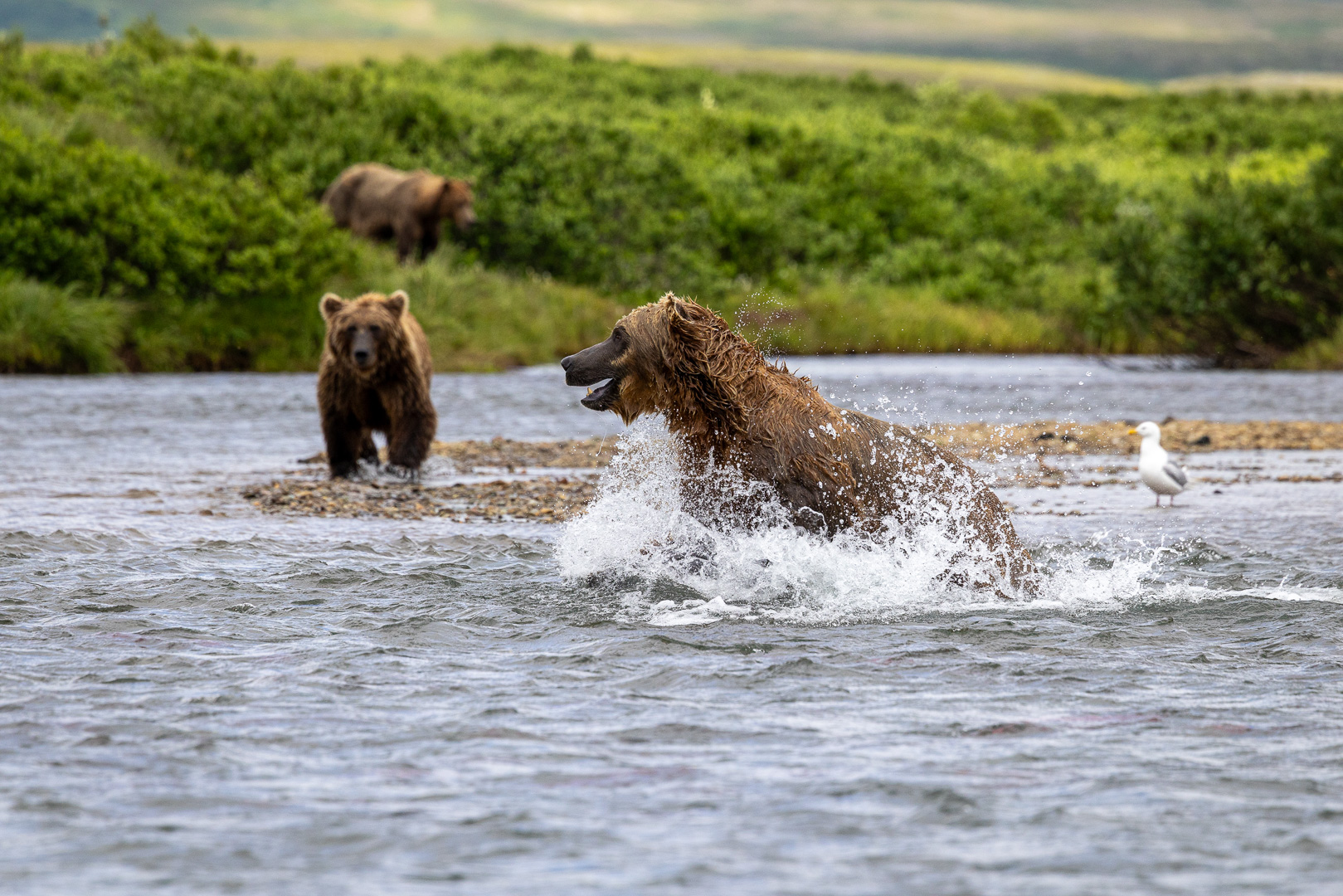 alaska2025