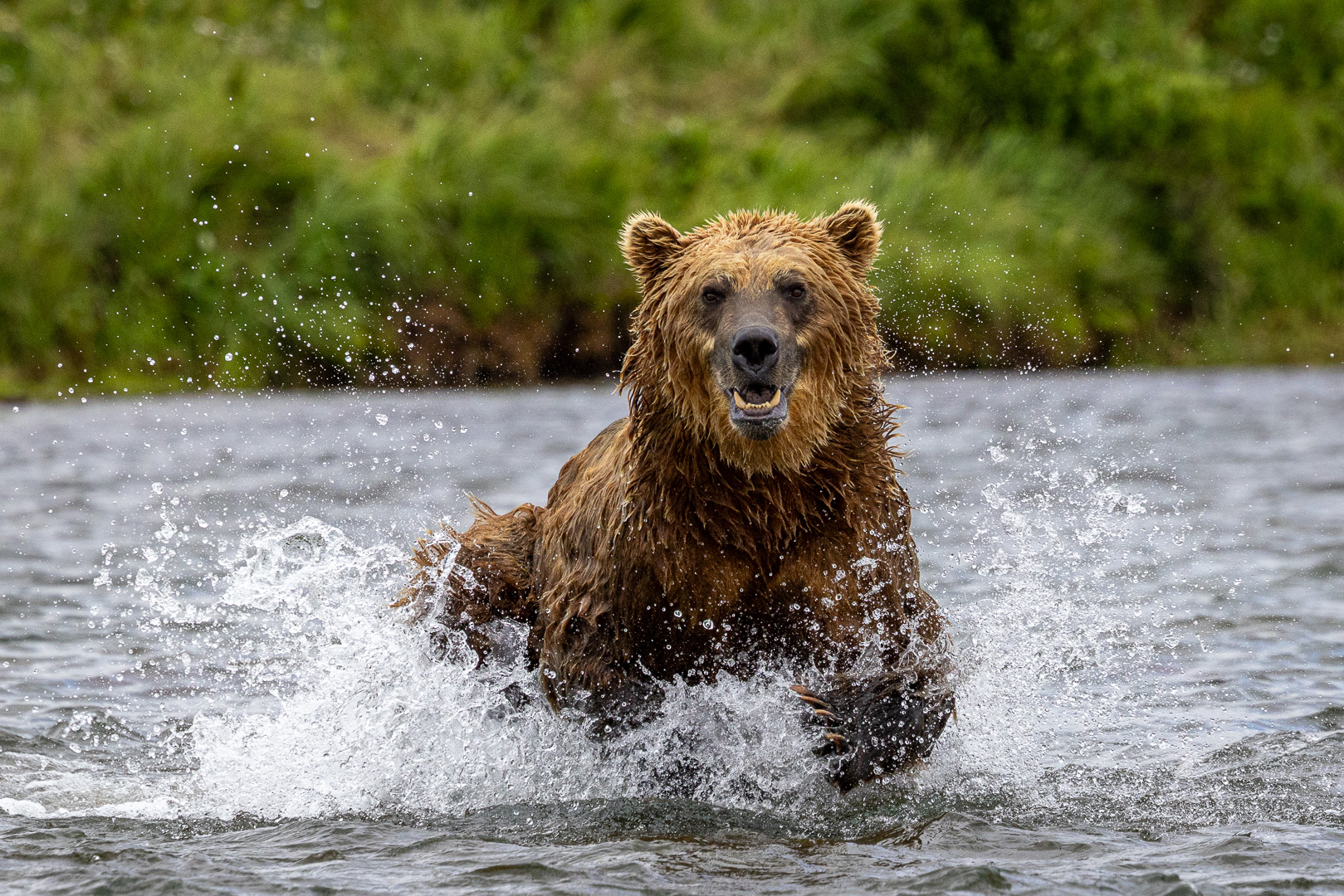 alaska2025
