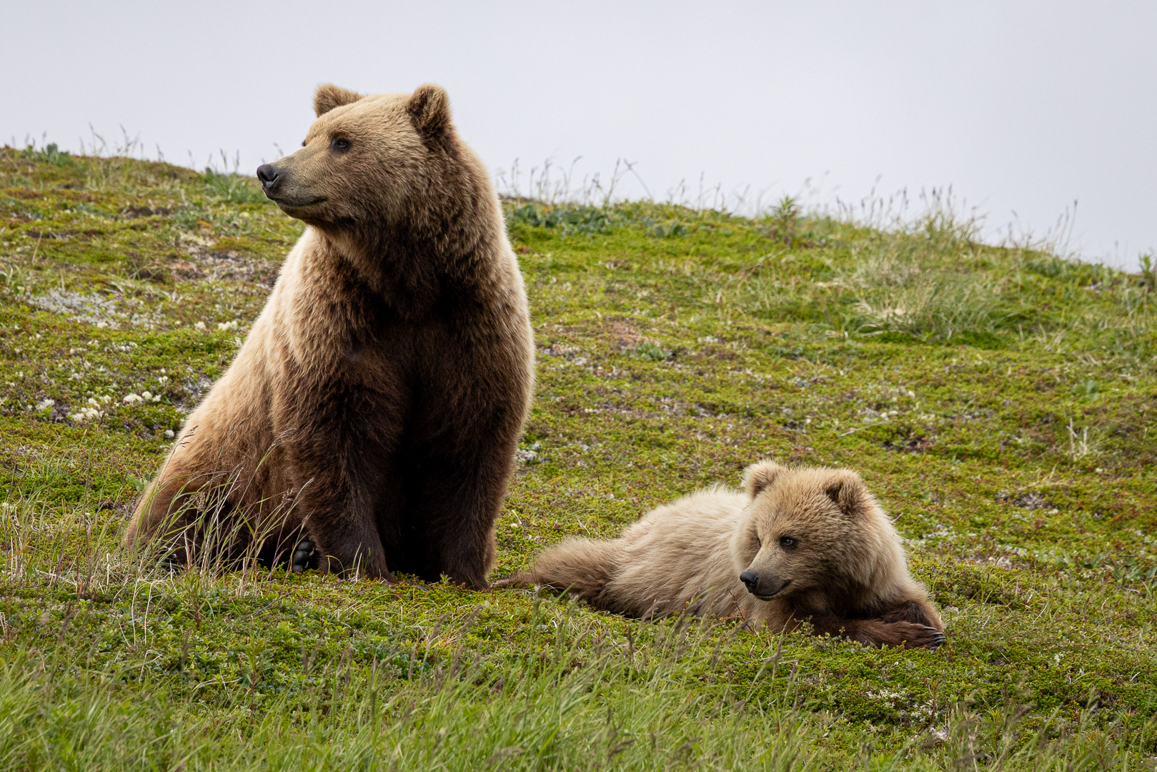 alaska2025