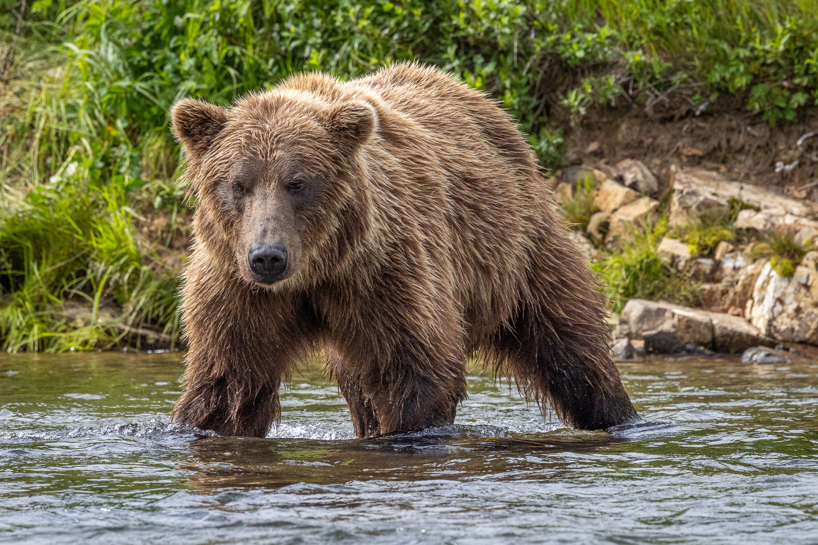 alaska2025