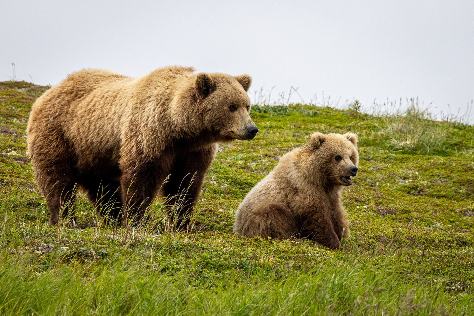 alaska2025
