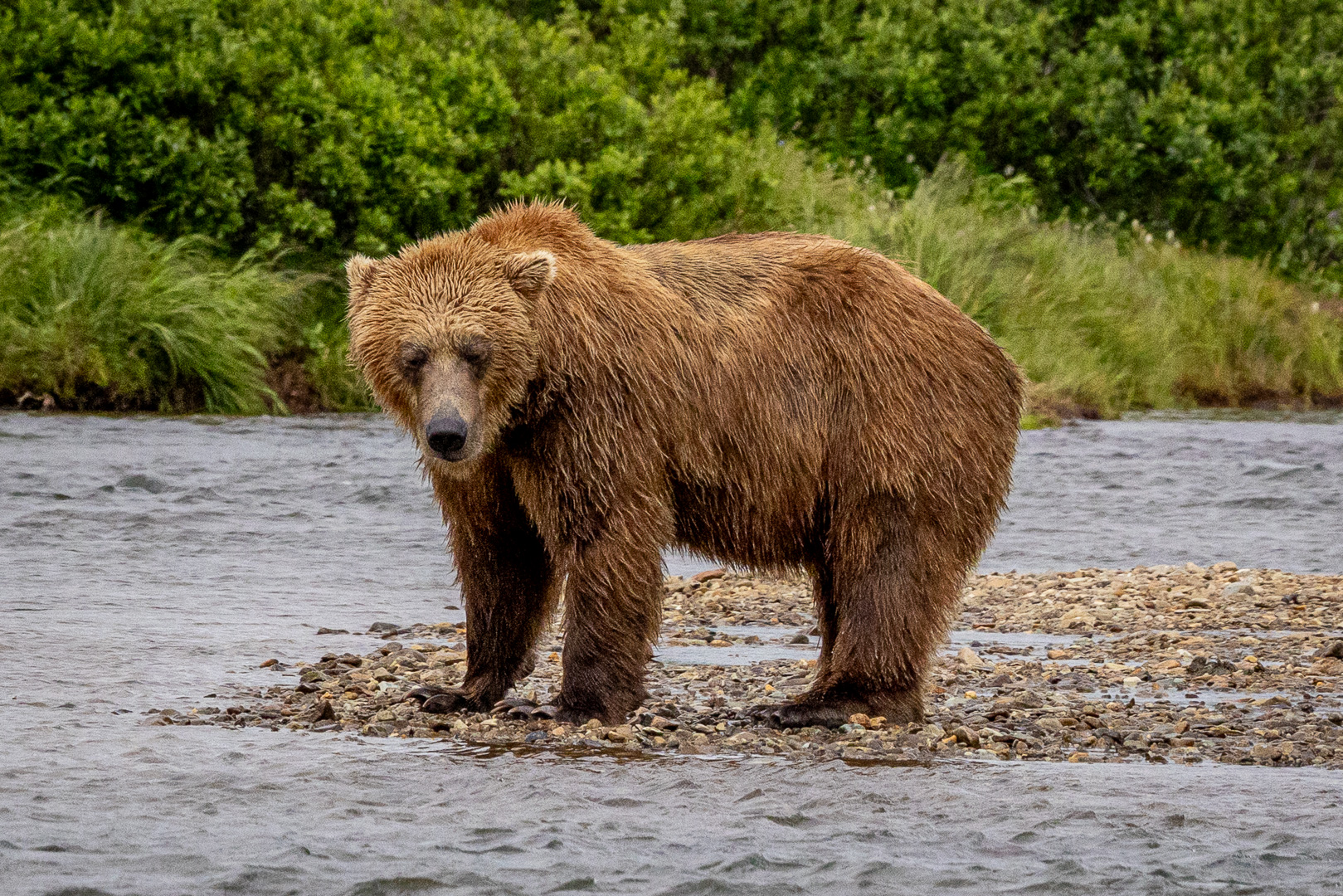 alaska2025