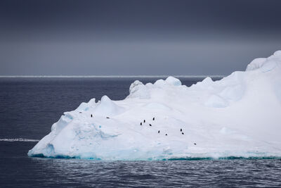 antarctica2025/