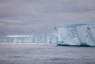 antarctica2025/