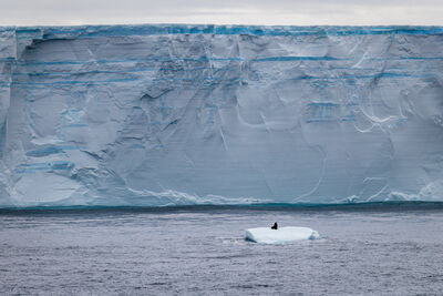 antarctica2025/