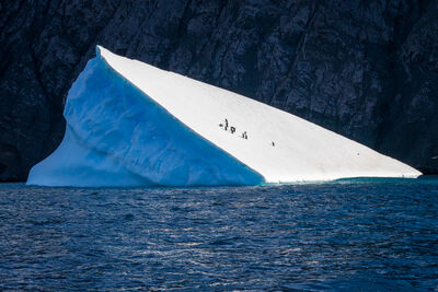 antarctica2025/