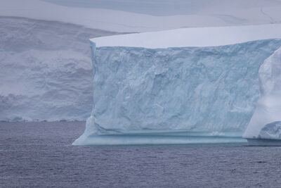 antarctica2025/