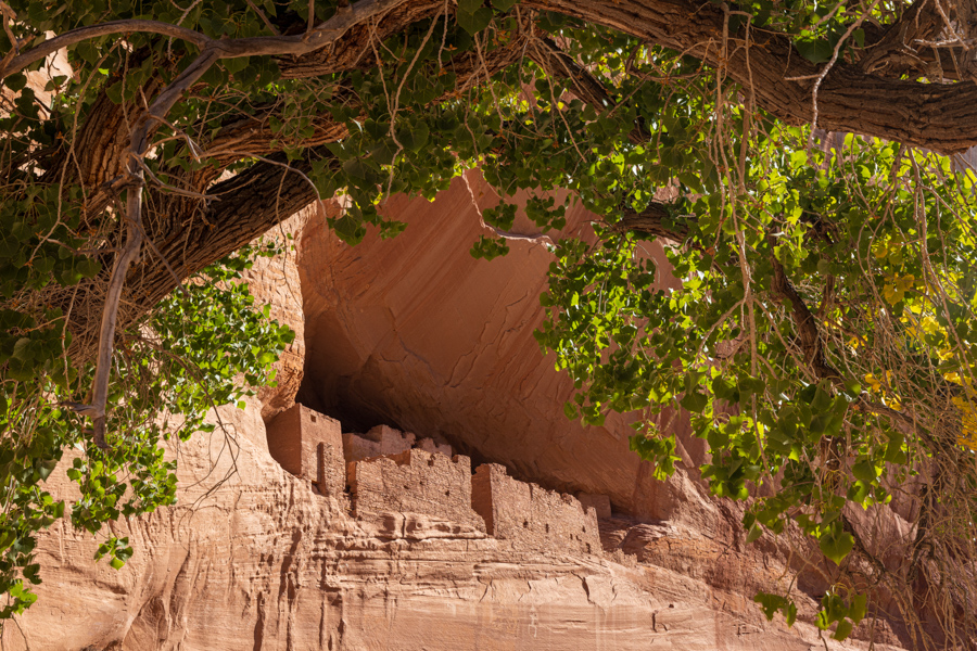 Canyon De Chelly