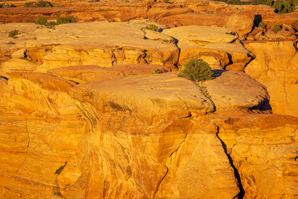 arizona2023