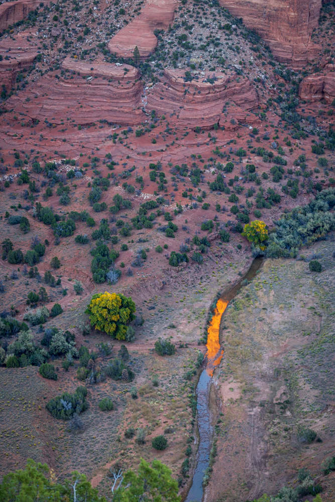 arizona2023