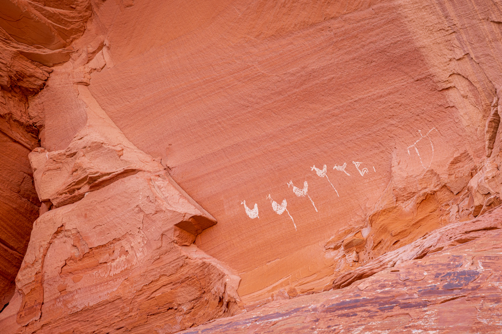 arizona2023