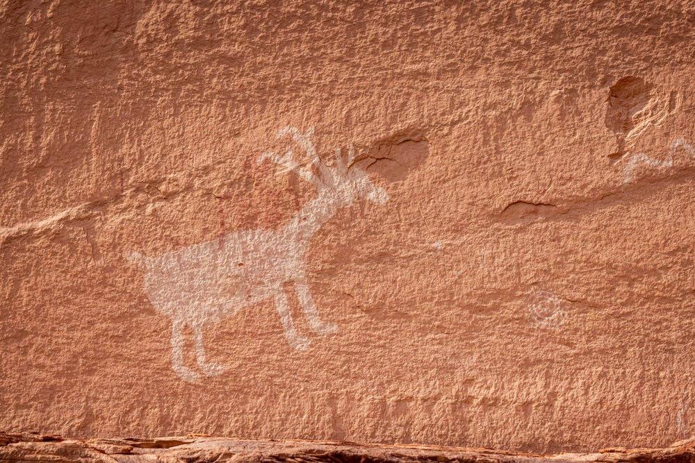 arizona2023