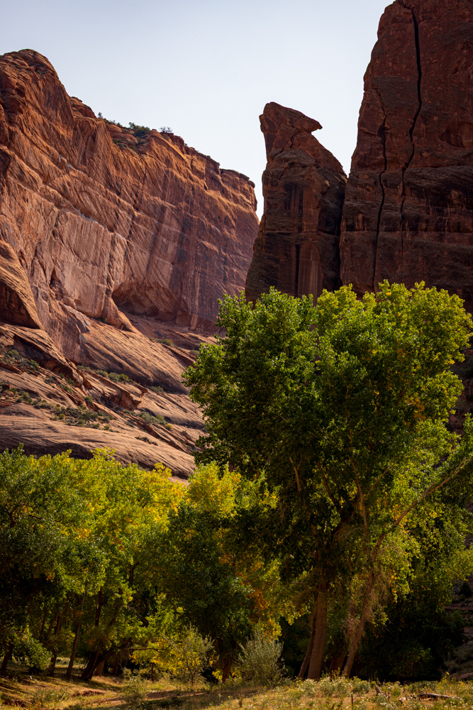 arizona2023