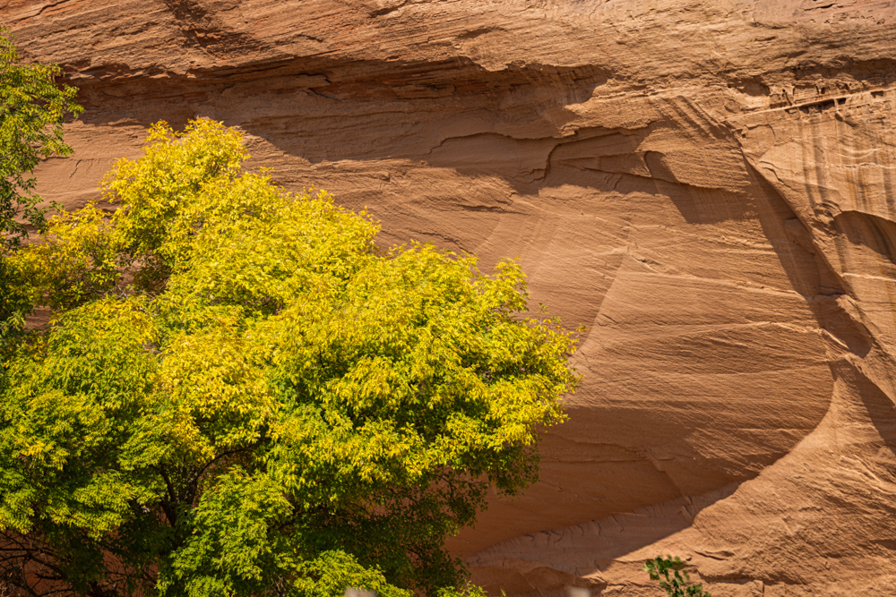arizona2023