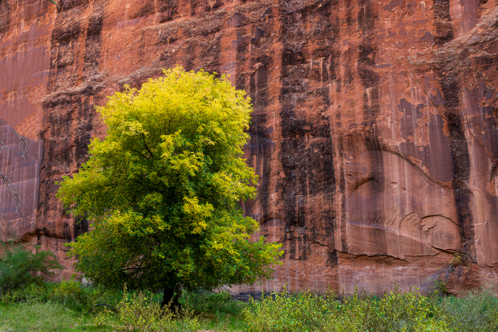 arizona2023