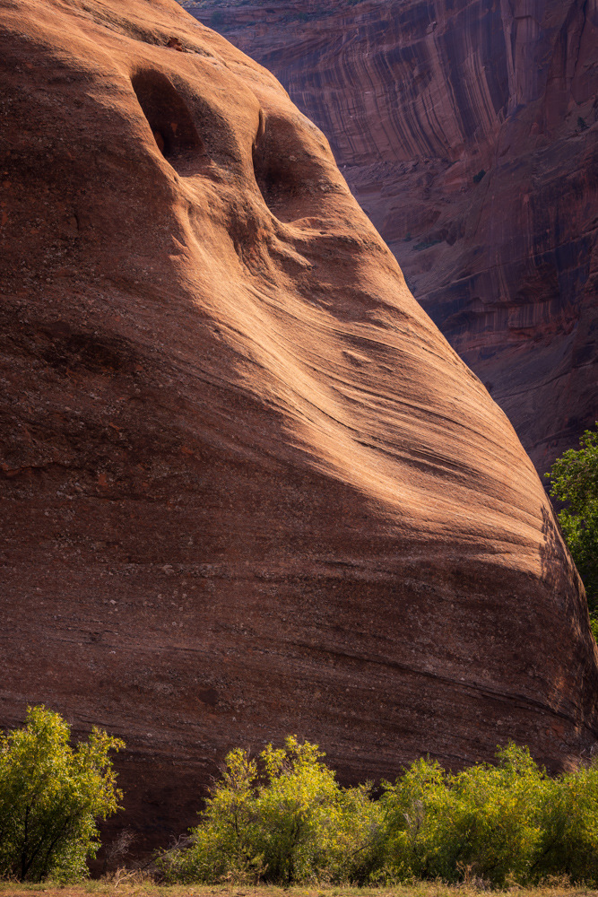 arizona2023