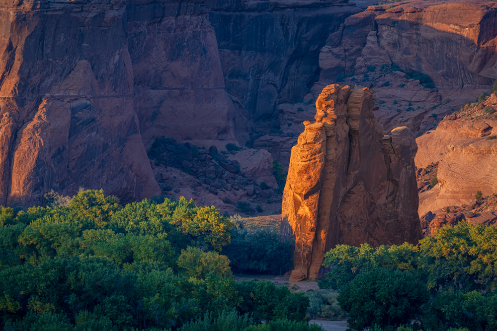 arizona2023