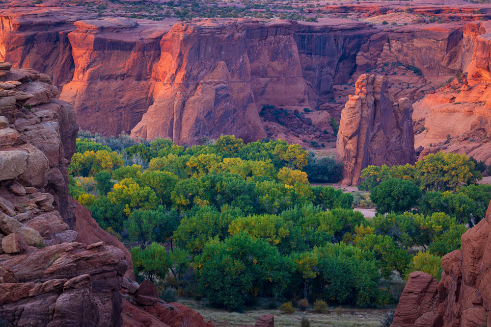 arizona2023