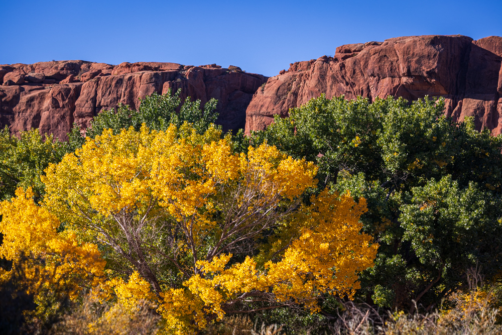 arizona2023