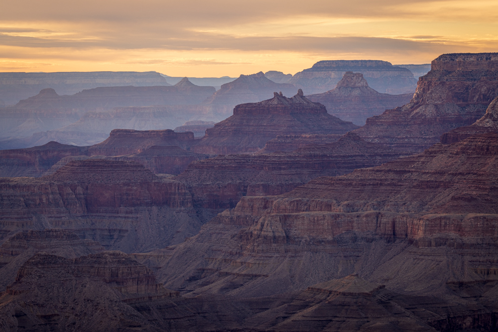 arizona2024