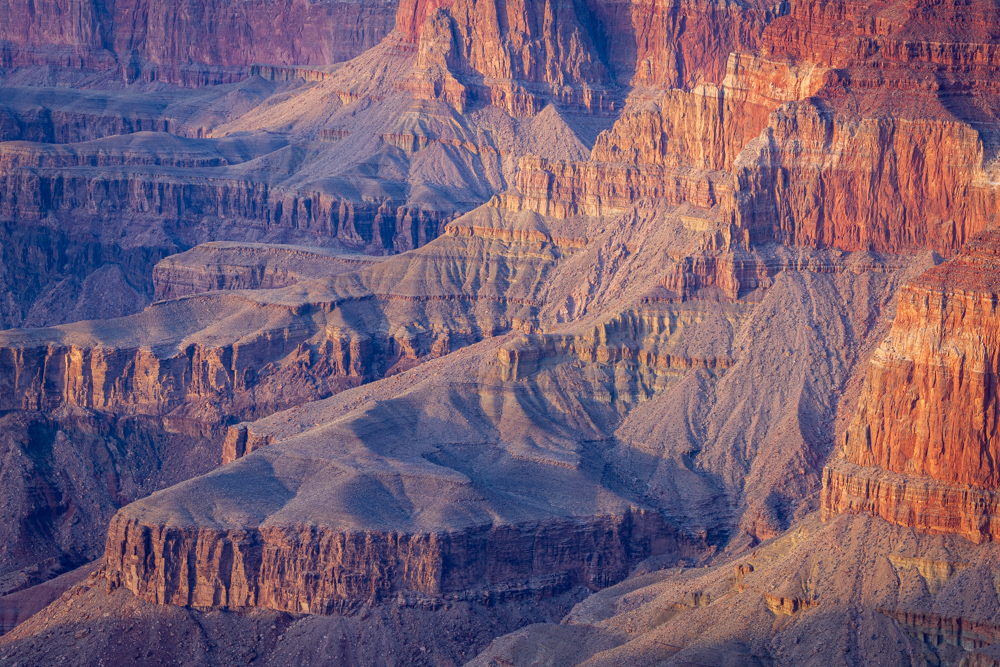 arizona2024