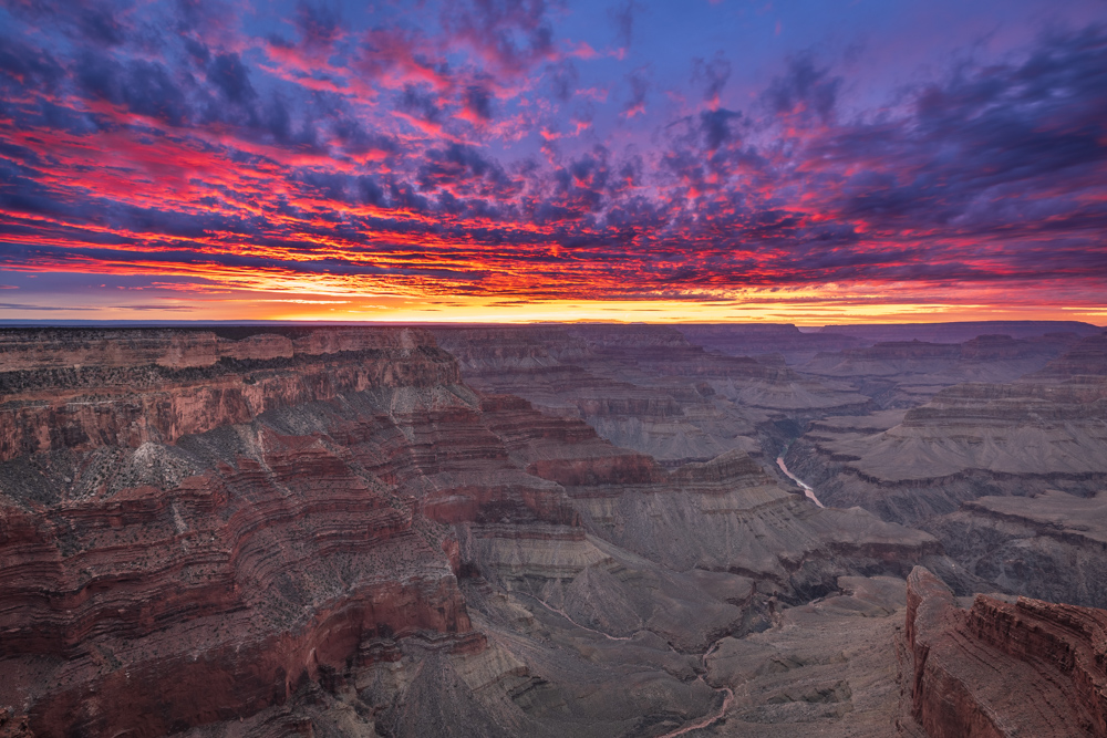 arizona2024