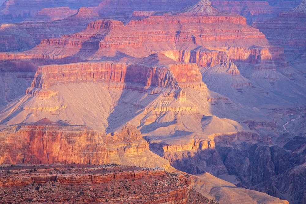 arizona2024