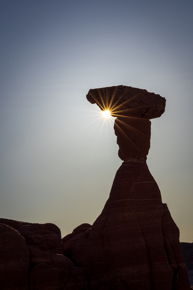 arizona2024