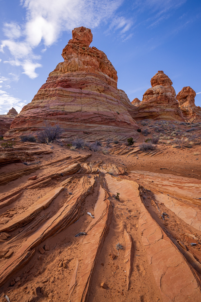 arizona2024
