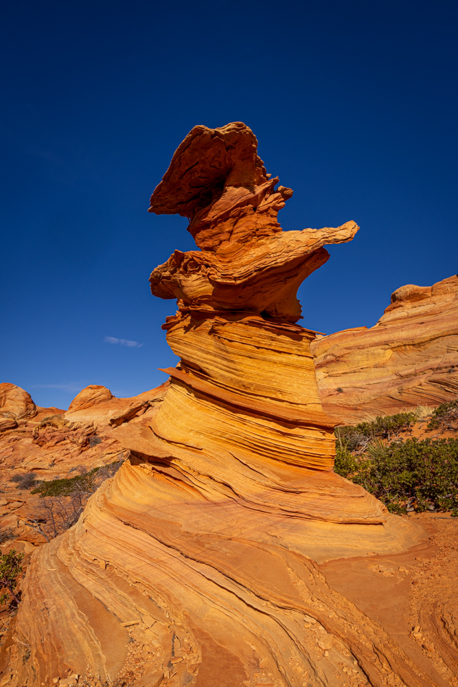 arizona2024