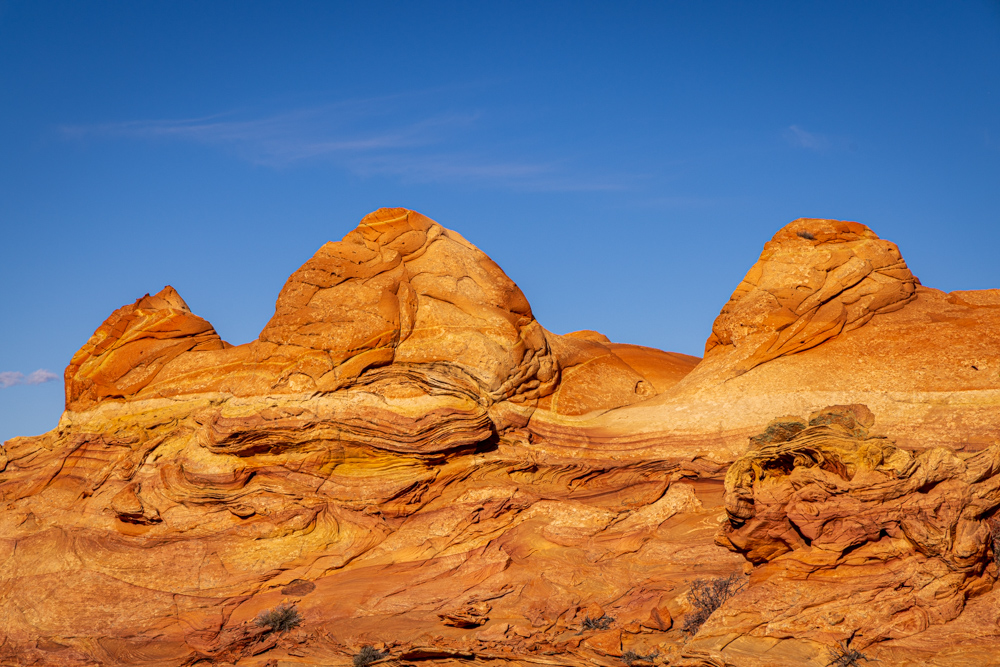 arizona2024
