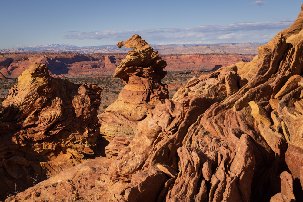 arizona2024