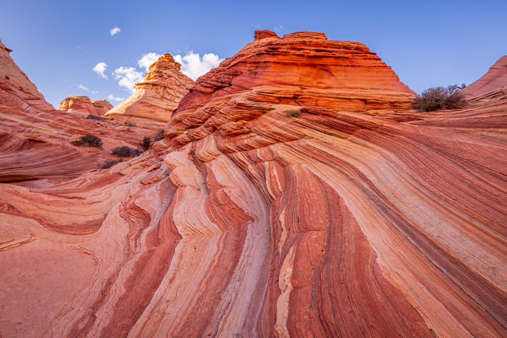 arizona2024