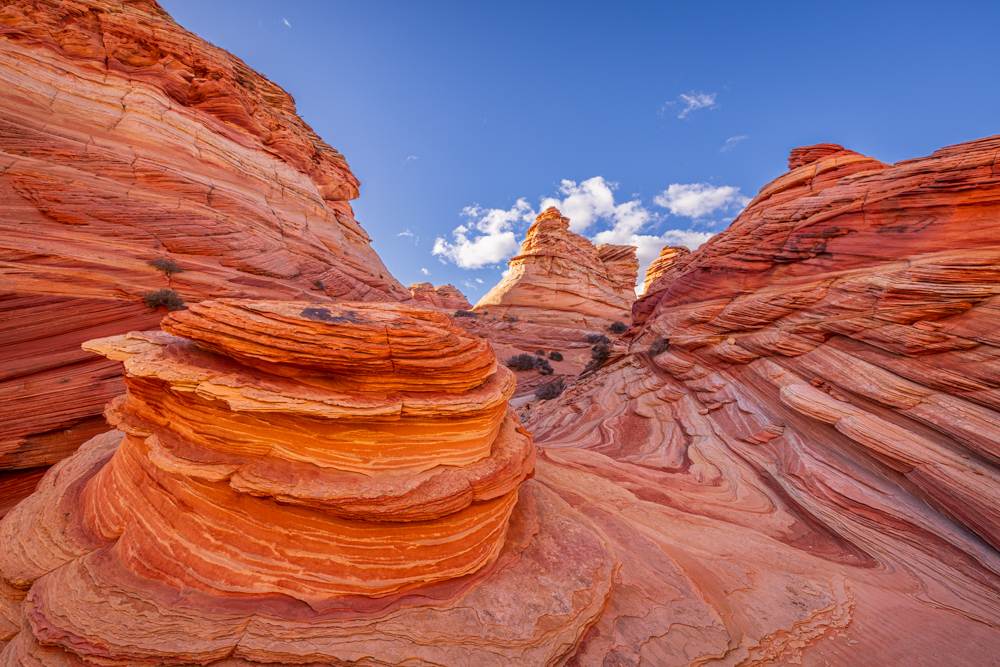 arizona2024