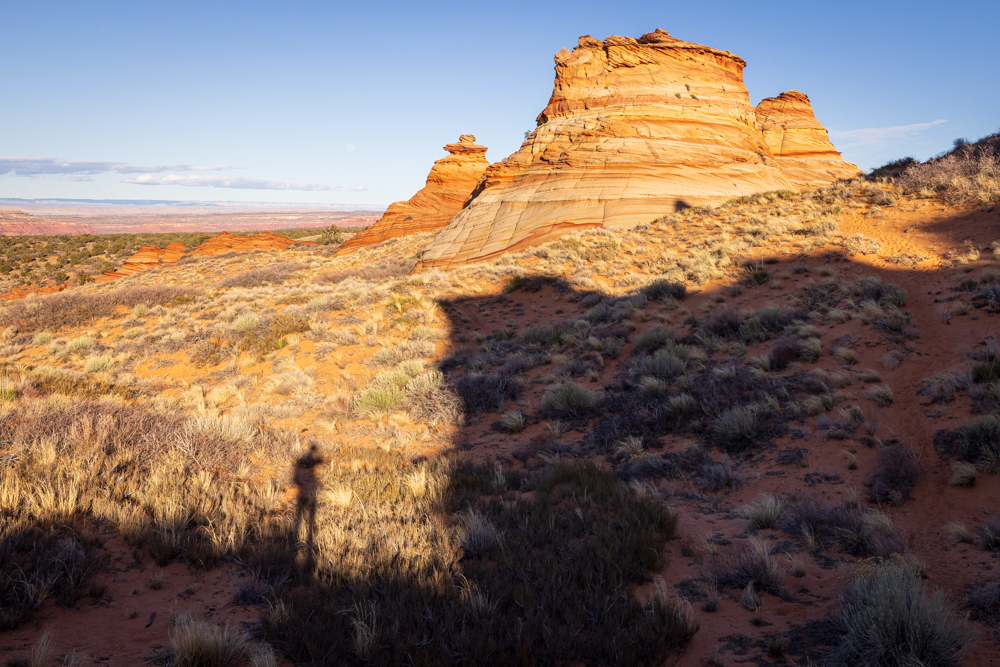 arizona2024