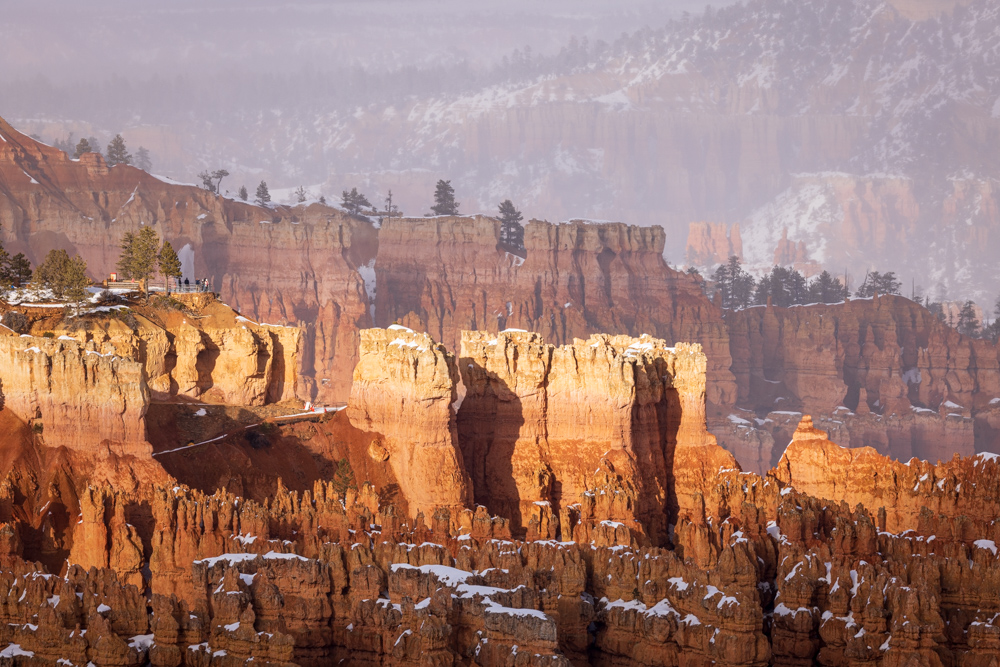 arizona2024