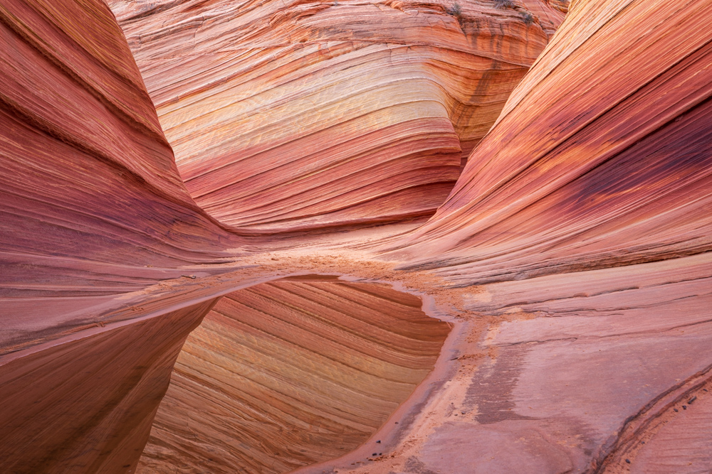 arizona2024