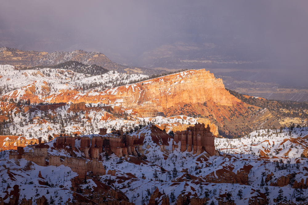 arizona2024