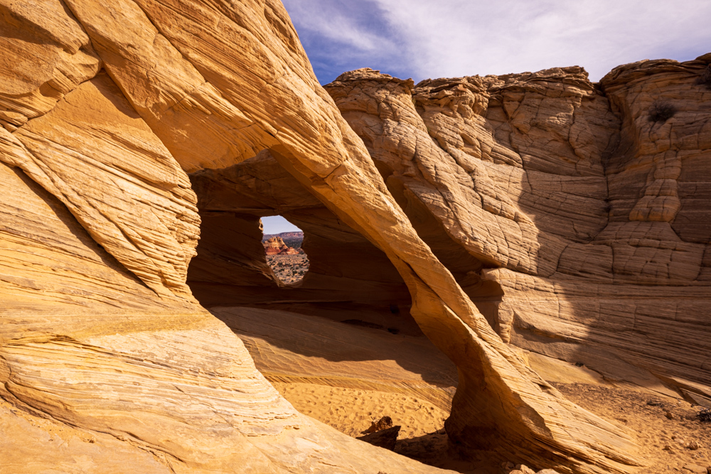 arizona2024