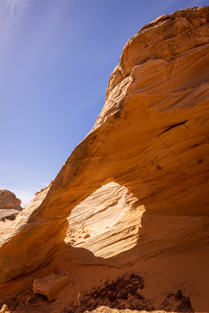 arizona2024