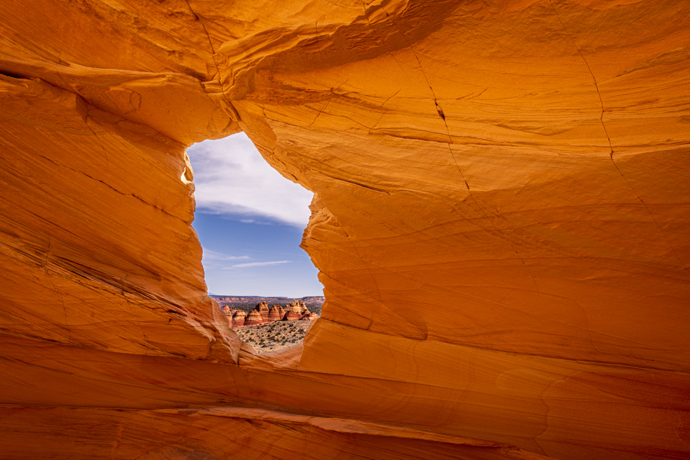 arizona2024